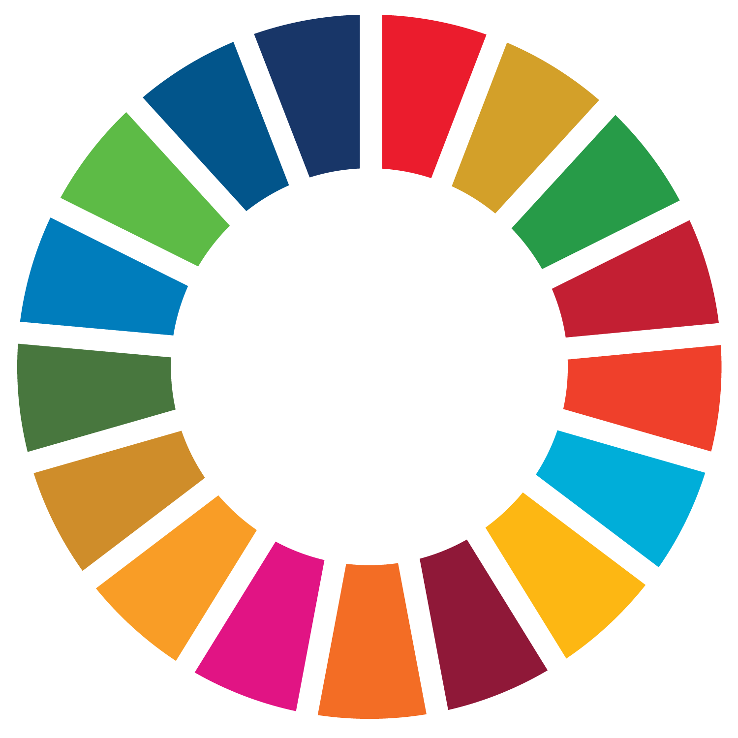 SDG Wheel PRINT Transparent